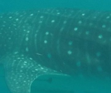 4469dee8-820e-467f-bf1d-3da7bea940f2