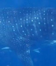 e4f7f505-4d00-4b0b-9ade-1555659086bd