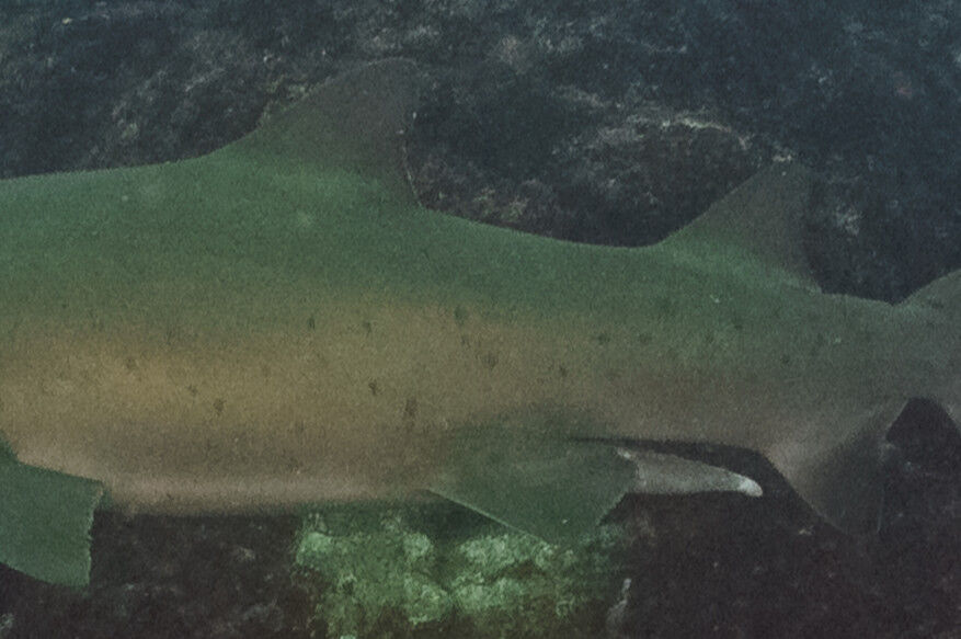 b77fa119-2a31-4c34-9c35-ccefd2ea978b