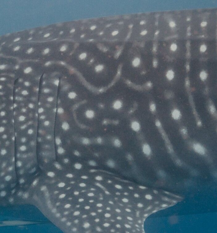 c72ca4da-5ccc-4be2-a1c7-4e1a7532884a