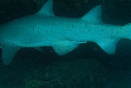 f4590363-b3e8-44a9-b46f-bc58eb317179