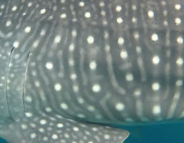 f4954d8b-7e44-46a5-9664-f7fafaf09642