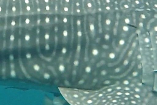 f4954d8b-7e44-46a5-9664-f7fafaf09642