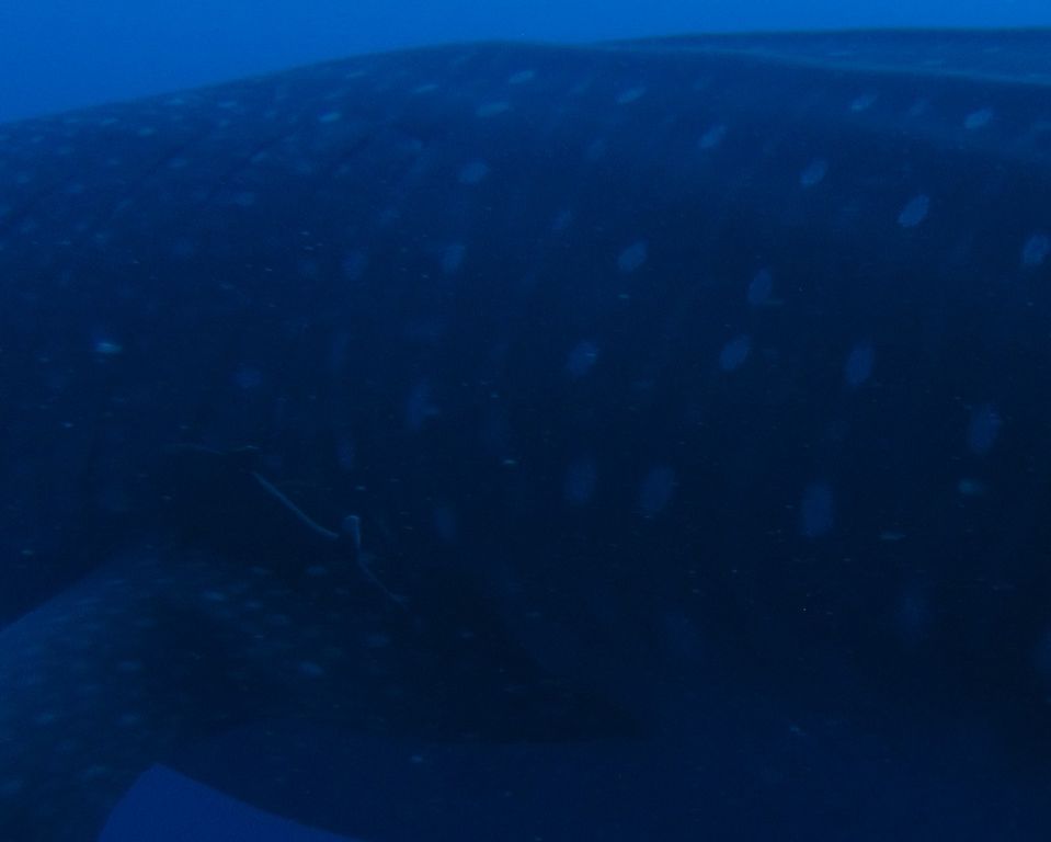 66f73ac4-53cc-4686-8858-24a21cbcaa04