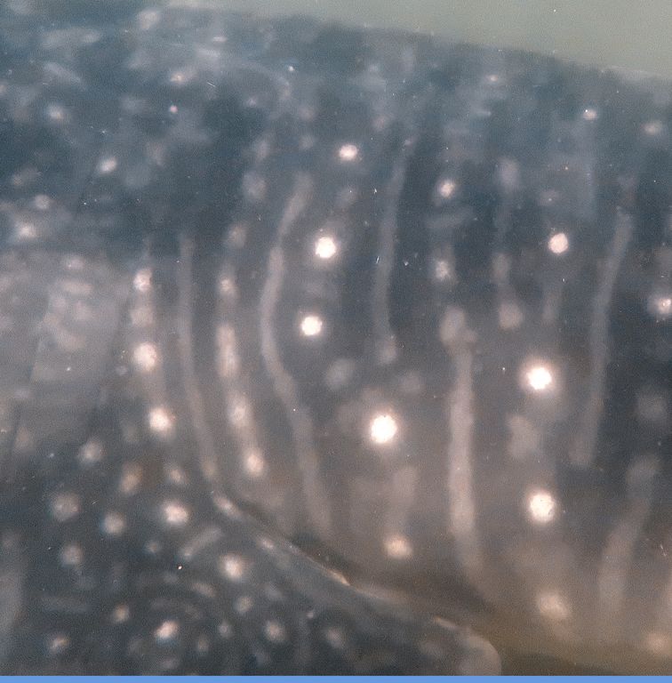 956d6d8f-a58e-43b6-99da-08c6677b8ded