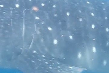 292dd1b3-9ce2-4c73-a52e-3628a5a4cb88