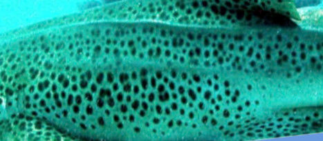 56444ea7-419a-45d2-a445-a0f45fa143b5