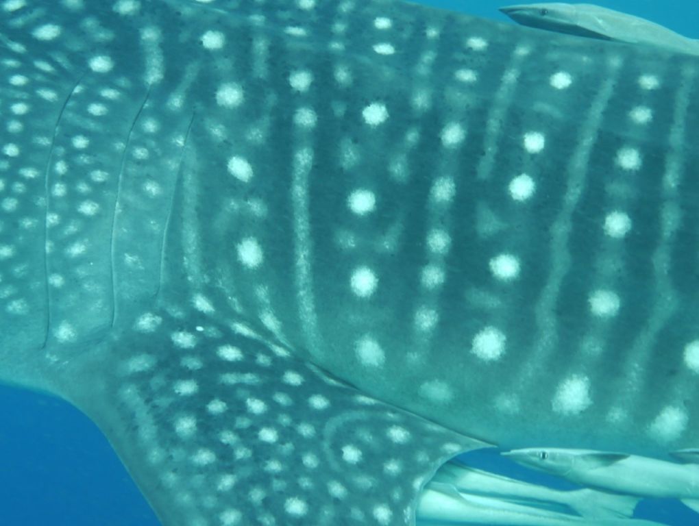 f1074f6e-e59e-4362-b6ef-7a829e68a9e7