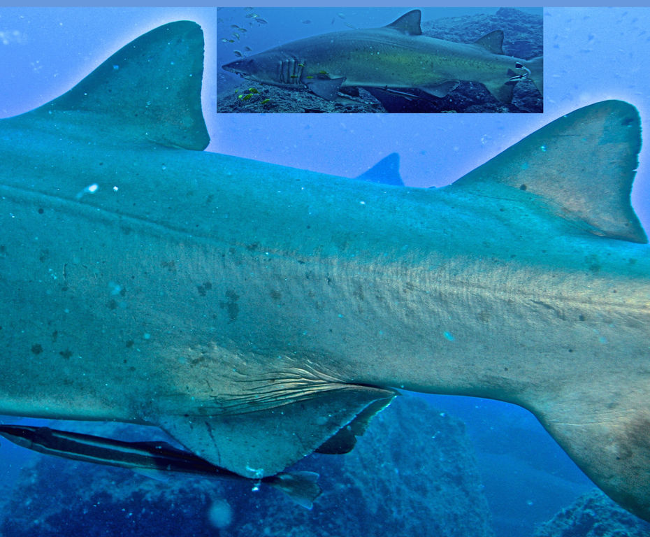 04fcf6d5-049d-4ce1-88d5-06d50bc1a637