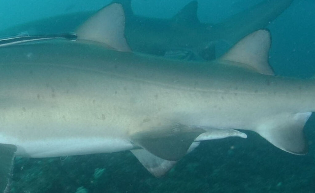 fdfcbad9-3440-47b3-94bb-051a0da3756f