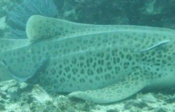 c339c74d-a157-4ff7-9669-d8133a0deeb2