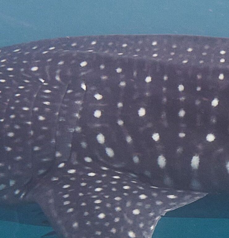 c70b9134-73b9-4c89-958a-3c4e609a3a7e