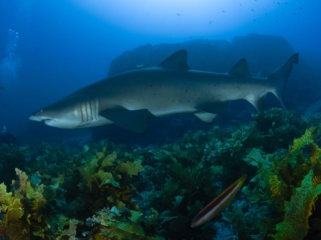 8baa997e-cc3c-41e3-aa8e-521ab32f2279