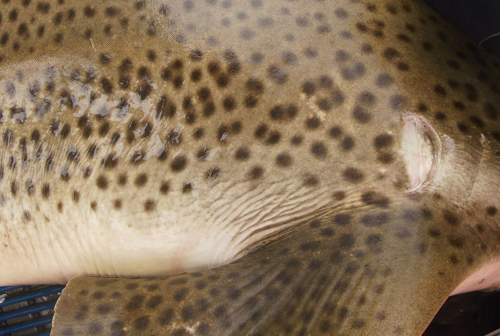 39faf676-9eca-40e2-8a37-858c901da2e5