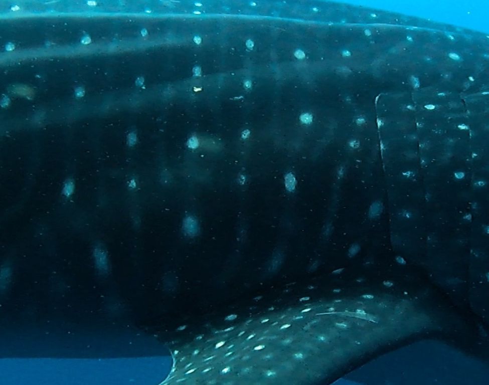 2e18c326-5d19-4de7-ac73-935c20a64222