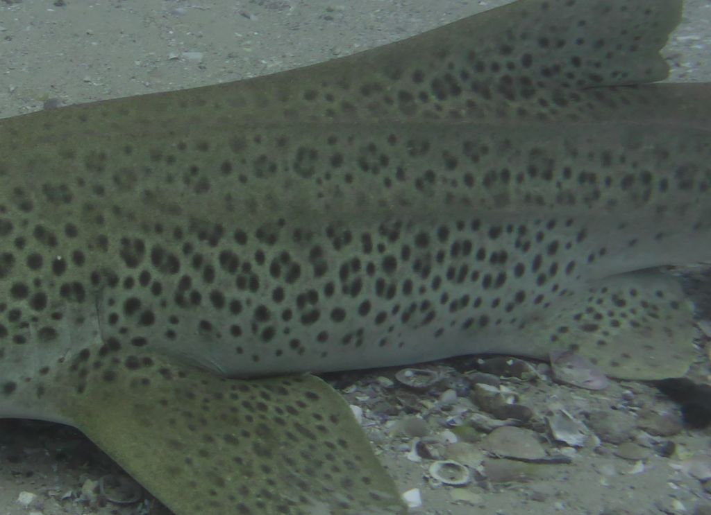 528df9b4-3d45-486c-a697-a05024894813