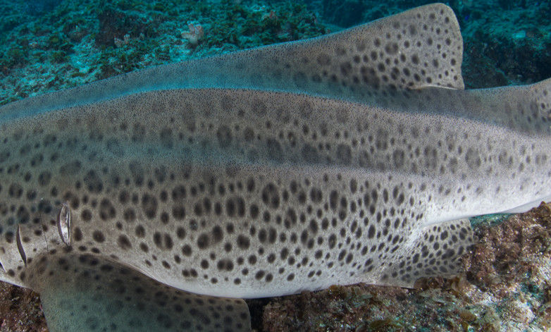 def160d5-53cc-4c7c-95cd-6ca48154bae2