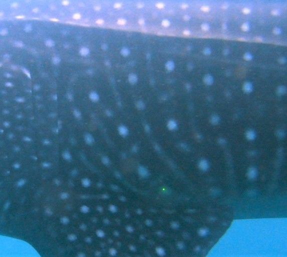 e105953b-8781-42e1-82e9-0f678539785b