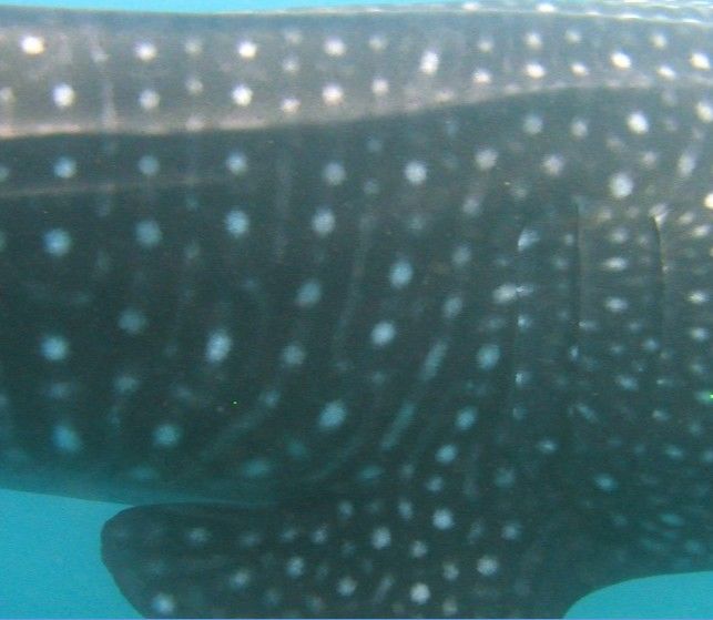 e105953b-8781-42e1-82e9-0f678539785b