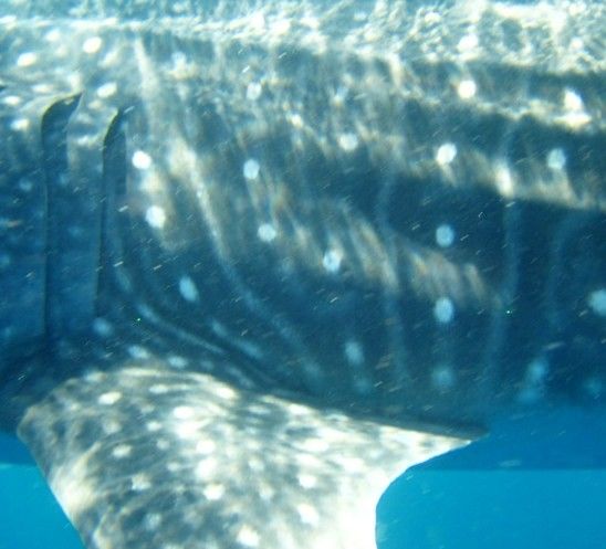 9d605fa9-6041-4729-afe5-4dad38f2ce9b