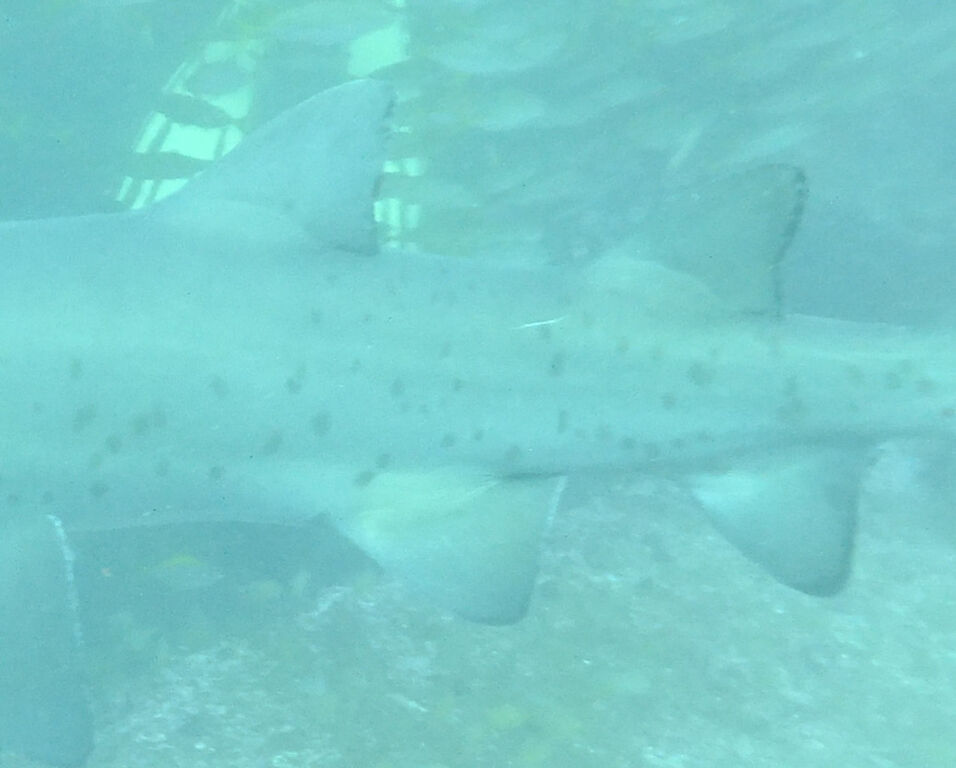 c3f6acda-0f64-459b-8dff-5a65927873de