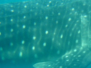 ce5cfb05-e352-4c0f-a91c-a095be636ccd