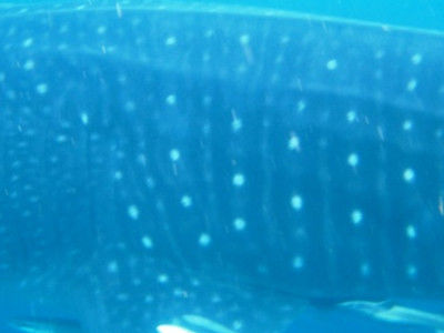 ce5cfb05-e352-4c0f-a91c-a095be636ccd