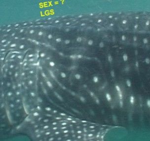 210970d4-a68f-4839-83a0-74d2297674f8