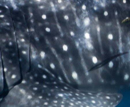 4f77b77b-2d91-420a-9246-4a040e3d437f