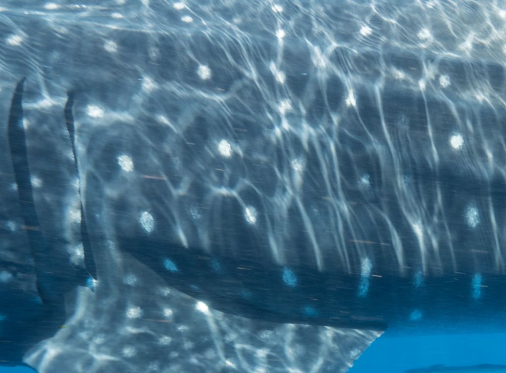 f4944628-20da-4e3b-9388-0d38386536c9