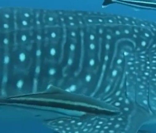 48bcfb6e-7648-4120-a9c5-74ae5626712a