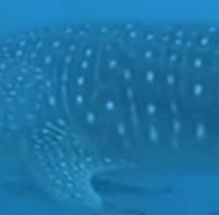 48bcfb6e-7648-4120-a9c5-74ae5626712a