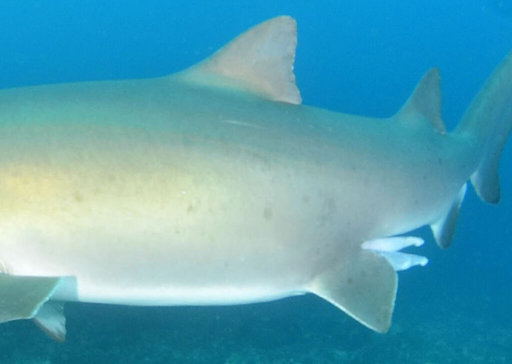 0c7ca703-bdc8-4521-a784-71f7fa67f892