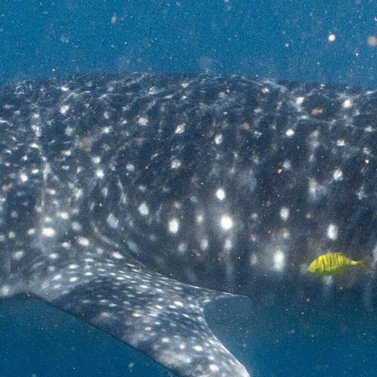 d1b71589-2e99-4f47-a1cd-7c7dc63663a9