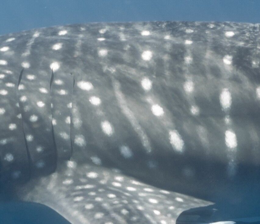 0b509d17-216b-4044-8f74-9876e16b5a12