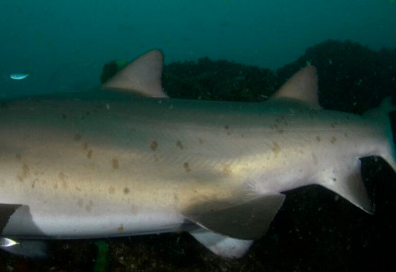 8172dc99-cdc2-442e-ba67-cc50aed9a6d7