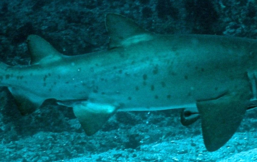 8351e241-0967-441b-afba-cd178ebd0253