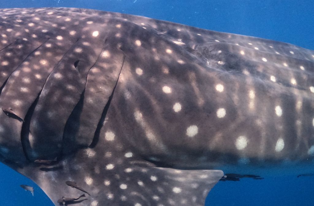 cd8299a2-b991-45e9-b762-9c4633c9fc10