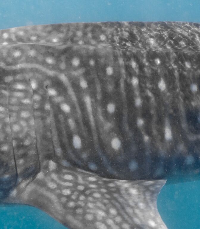 642d4de3-bb3a-4604-8119-d5ba4dc0ed1d