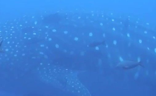 8a16d09c-34ac-4be2-98fa-751b7a214087