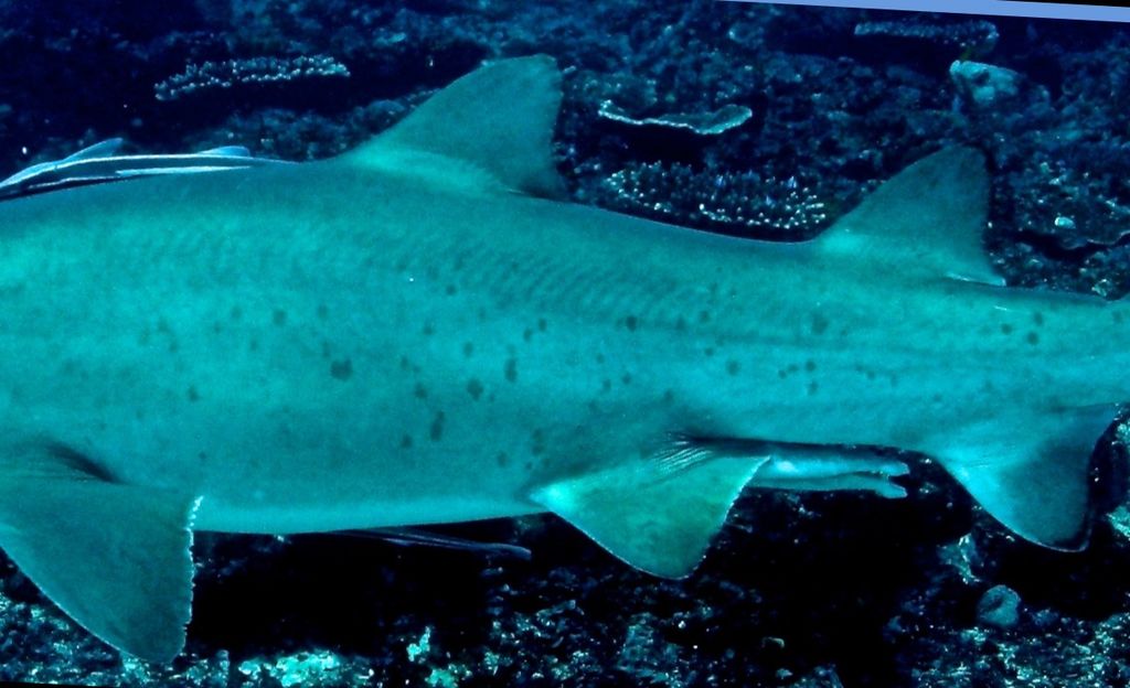 f90996ab-1558-4bfe-8935-95d53e889baa