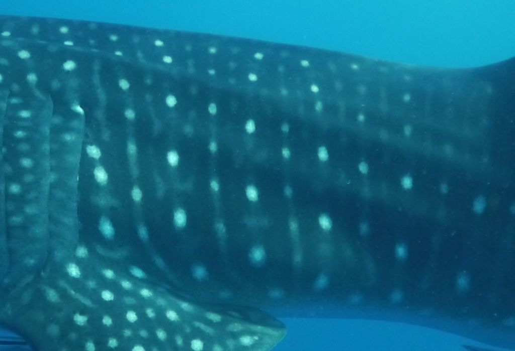 653b2804-dabe-415b-91fa-6fce3226b6fb