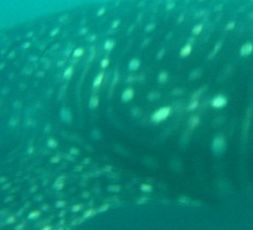 2315a81a-5beb-4f9e-af57-3cf40d8e4851