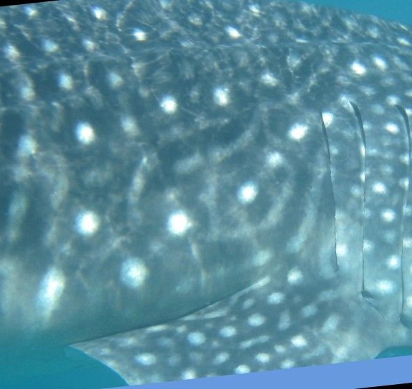 dbfc0907-1be3-4aeb-851b-49c5688b9e5a