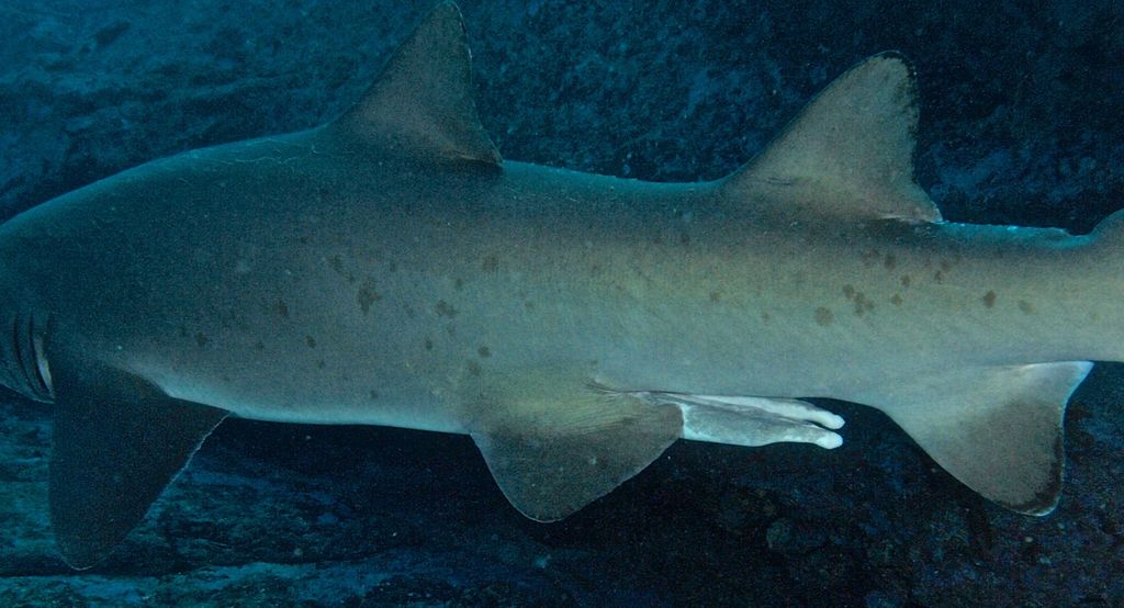 3331a317-435a-4636-8ac2-a6feb052637a