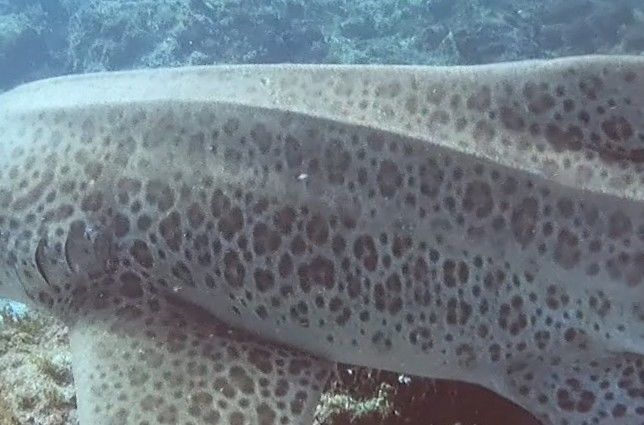 ab396fce-4f6b-44c0-8a82-6919e524349c