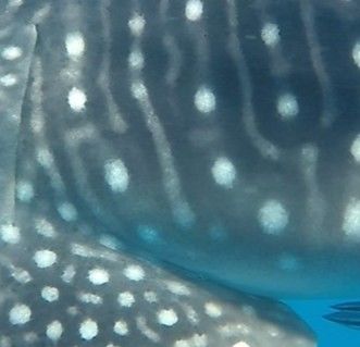 0bcc5220-a7d7-4641-96eb-71fcc781c0cc