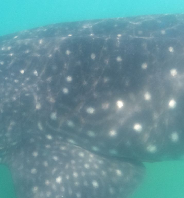 b1af3a81-a89c-4e1b-8de9-21f2d243d99c