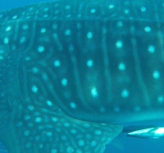 85b19292-963a-492b-b98f-4c3e3000be18