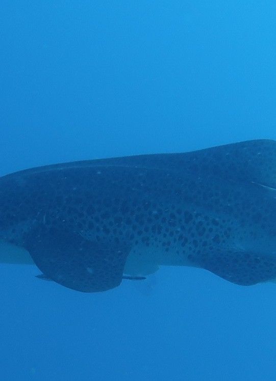 3ef2f073-0bce-426a-b277-0d48b6af163c